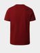 Футболка The North Face FINE TEE Red (NF00CEQ5BDQ1) NF00CEQ5BDQ1SH фото 2