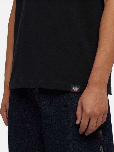 Футболка Dickies DICKIES PANTHER TEE SS black DK0A4Z4IBLK1 фото