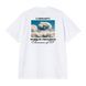Футболка Carhartt WIP S/S WARM VIEWS T-SHIRT white I036246.02XX фото 2
