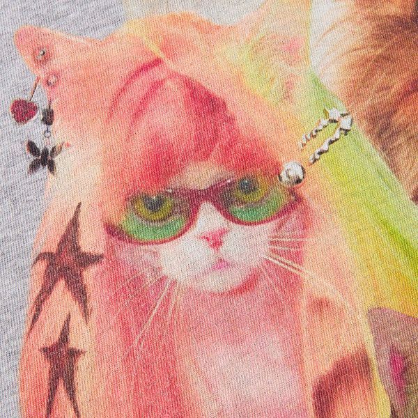 Футболка SSSTUFFF PUNK CATS TEE grey CO-TEE06-H.grey фото