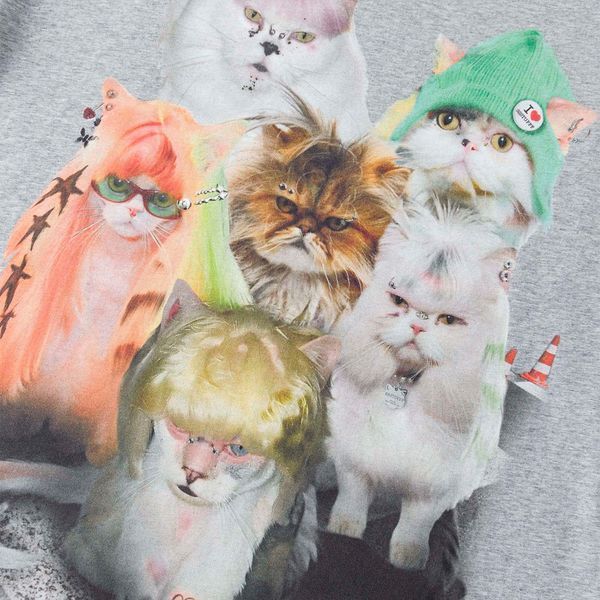 Футболка SSSTUFFF PUNK CATS TEE grey CO-TEE06-H.grey фото