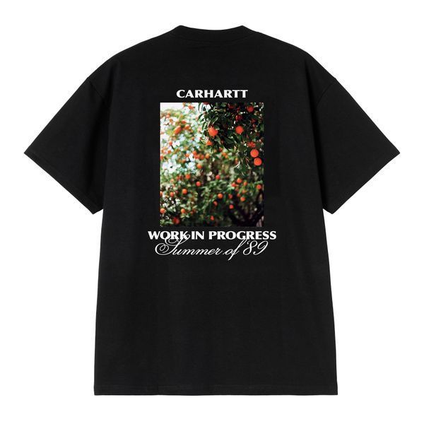 Футболка Carhartt WIP S/S WARM VIEWS T-SHIRT black I036246.89XX фото