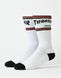 Шкарпеки Thrasher SC Strip Socks Mens 9-11 White 42-45 20000006281 фото 1