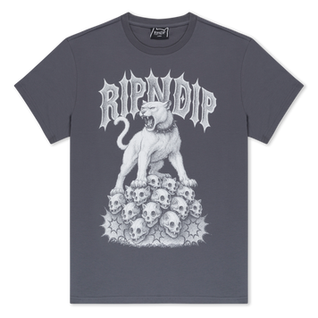 Футболка Ripndip WASTELAND TEE charcoal RNDSPR26139 фото