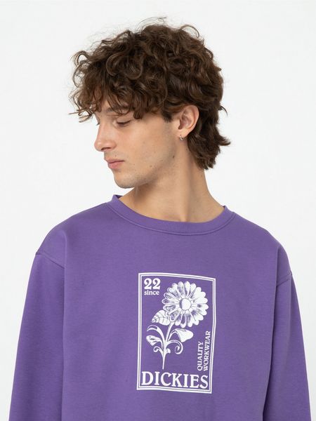 Свішот Dickies Garden Plain Sweatshirt (Imperial Palace) Lavender 2000000525860 фото