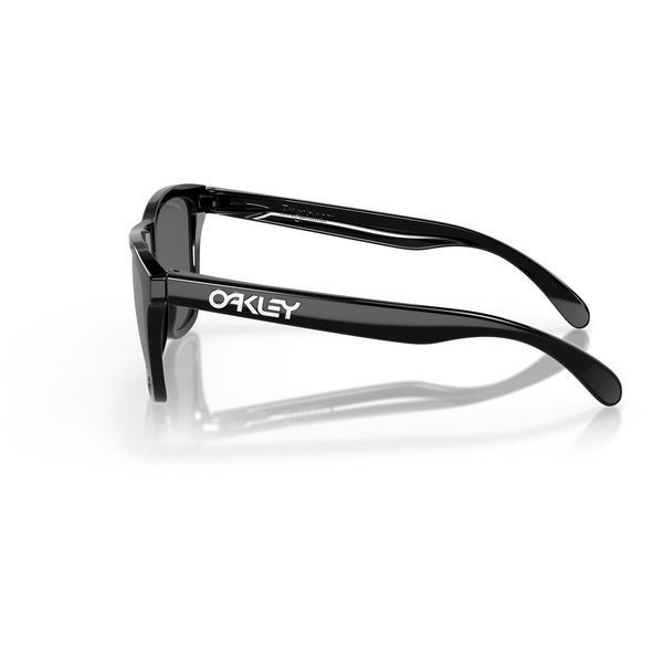 Окуляри С/захисні Oakley FROGSKINS polished black prizm black OO9013-C455 фото