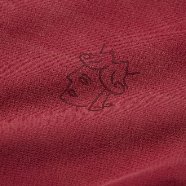 Лонгслів Victoria Hk SUNFADED QH L/S TEE faded rose 2621006-FDRD фото