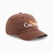 Кепка Puma PUMA X CARROTS DAD CAP Espresso Brown 2578902PM фото 1