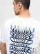 Футболка The North Face COORDINATED S/S TEE Tnf White NF0A87EDFN4 фото 3