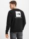 Світшот The North Face RAGLAN REDBOX CREW Black (NF0A4SZ9JK31) NF0A4SZ9JK31SH фото 2