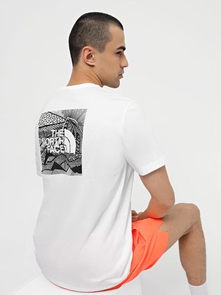 Футболка The North Face S/S REDBOX CELEBRATION TEE Tnf White NF0A87NVFN4 фото