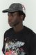 Кепка SSSTUFFF MISSING CAT CAP grey SS25-CAP02-X4 фото 4