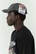 Кепка SSSTUFFF MISSING CAT CAP grey SS25-CAP02-X4 фото 3
