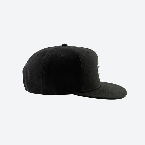 Кепка DGK HOOLIGAN SNAPBACK black heh-1231 фото