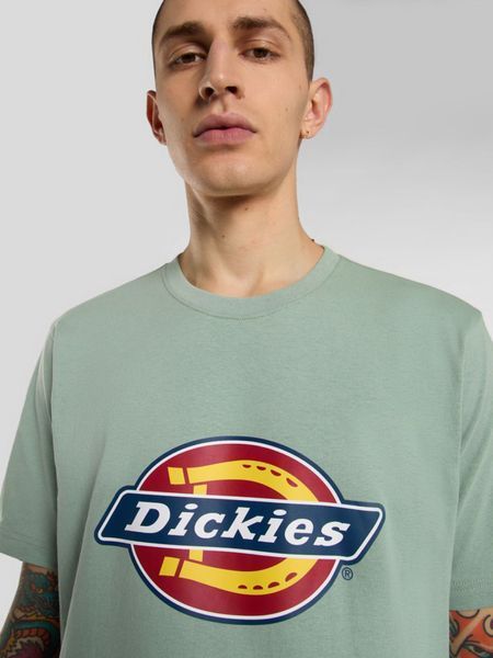 Футболка Dickies ICON LOGO TEE iceberg green DK0A4XC9K361 фото
