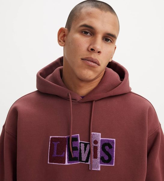 Худі Levi's Skateboarding SKATE HOODED SWEATSHIRT Chenille Patch A1008;0012 фото