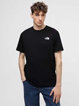 Футболка The North Face S/S REDBOX CELEBRATION TEE Tnf Black NF0A87NVJK3 фото