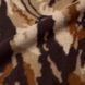 Штани Gramicci THERMAL FLEECE PANT Bark Camo G6FM-P005-BKCM фото 7