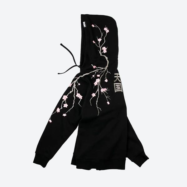 Худі DGK LIFE HOODIE black cfp-1108-004 фото