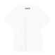 Футболка Carhartt WIP S/S SEAN HAMILTON 02 T-SHIRT white I036269.02XX фото 2