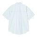 Сорочка Carhartt WIP S/S ROYCE SHIRT royce stripe, icaria / white I036202.3JTXX фото 2