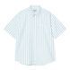 Сорочка Carhartt WIP S/S ROYCE SHIRT royce stripe, icaria / white I036202.3JTXX фото 1