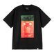 Футболка Carhartt WIP S/S SEAN HAMILTON 01 T-SHIRT black I036268.89XX фото 1