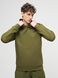 Худі The North Face RAGLAN REDBOX HOODIE khaki NF0A2ZWUPIB фото 1