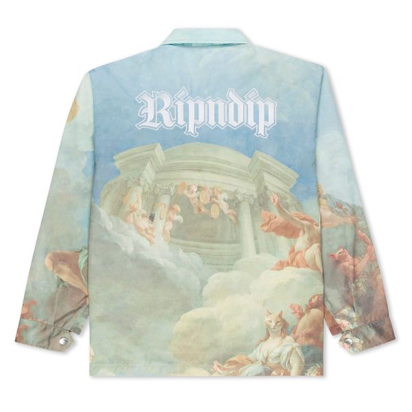 Куртка Ripndip HEAVENS WAITING BUTTON UP JACK multi RNDFAL24101 фото